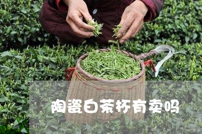 陶瓷白茶杯有卖吗/2023071265948