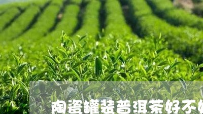 陶瓷罐装普洱茶好不好/2023120662926