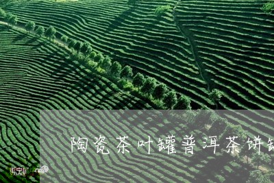 陶瓷茶叶罐普洱茶饼罐/2023072470693