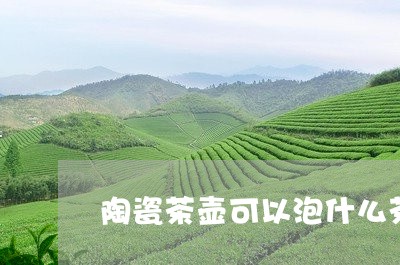 陶瓷茶壶可以泡什么茶/2023071315037