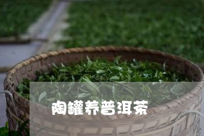 陶罐养普洱茶/2023042640183