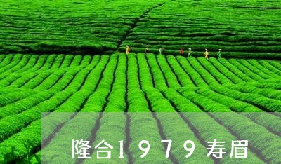 隆合1979寿眉/2023120464147