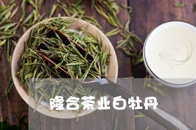 隆合茶业白牡丹/2023112335169