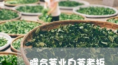 隆合茶业白茶老板/2023071275268