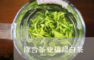 隆合茶业福鼎白茶/2023062896483