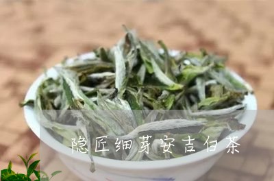 隐匠细芽安吉白茶/2023071210290