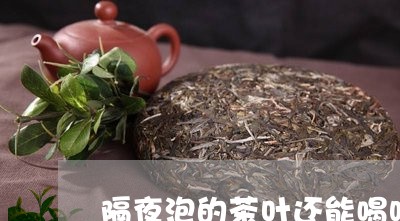 隔夜泡的茶叶还能喝吗/2023061015279