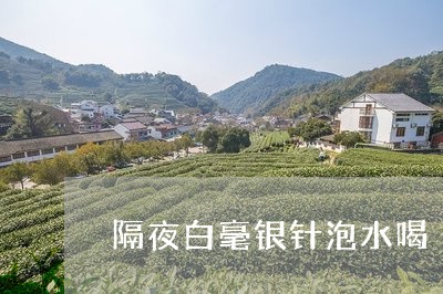 隔夜白毫银针泡水喝/2023120441635