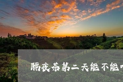 隔夜茶第二天能不能喝/2023060871936