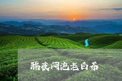 隔夜闷泡老白茶/2023061197138