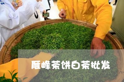 雁峰茶饼白茶批发/2023071222683