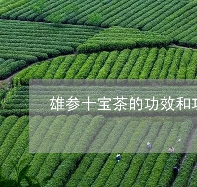 雄参十宝茶的功效和功能与主治/2023053169494