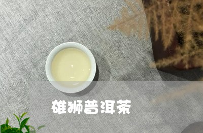 雄狮普洱茶/2023090632707