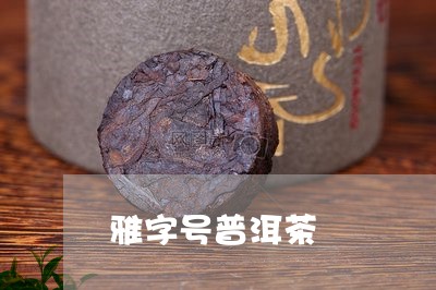 雅字号普洱茶/2023042636030