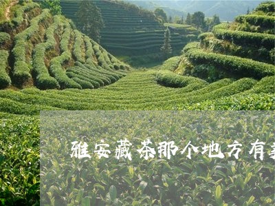 雅安藏茶那个地方有卖/2023060993058