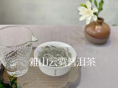 雅山云雾普洱茶/2023102651735