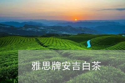 雅思牌安吉白茶/2023061198591