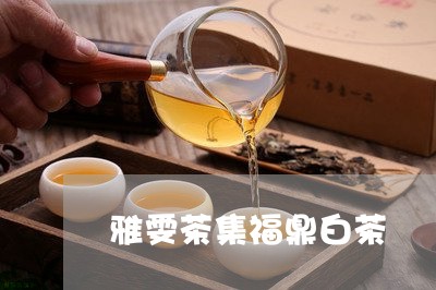 雅雯茶集福鼎白茶/2023071145169