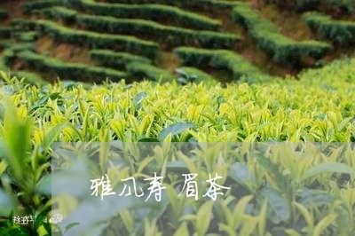 雅风寿眉茶/2023051234827