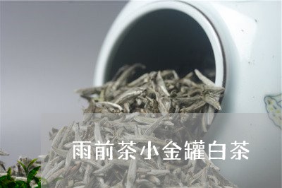 雨前茶小金罐白茶/2023071116959