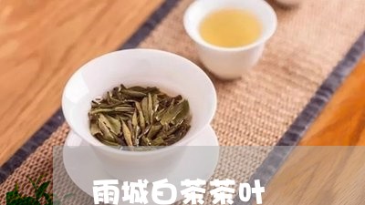 雨城白茶茶叶/2023052564946