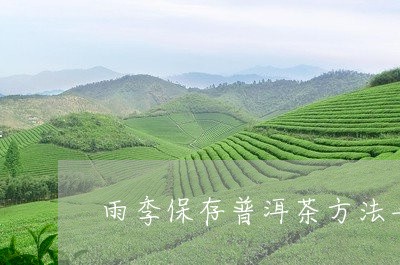 雨季保存普洱茶方法与技巧/2023121815137