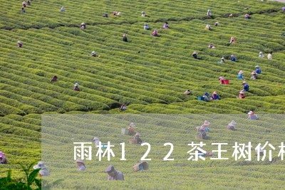 雨林122茶王树价格/2023092165151