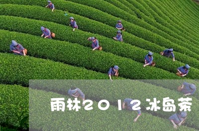 雨林2012冰岛茶/2023042563636