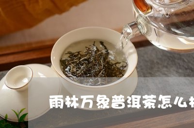 雨林万象普洱茶怎么样/2023092686028