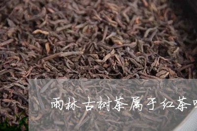 雨林古树茶属于红茶吗/2023061073828