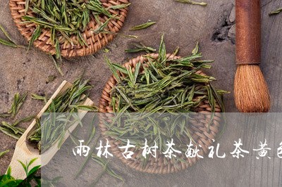 雨林古树茶献礼茶黄色/2023092185858