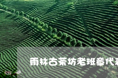 雨林古茶坊老班章代表/2023092421694