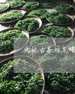 雨林古茶坊龙蟠普洱茶/2023080287249