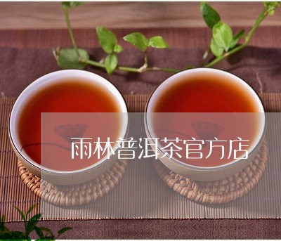 雨林普洱茶官方店/2023102653847