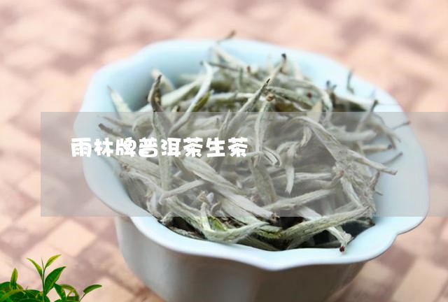 雨林牌普洱茶生茶/2023102659458