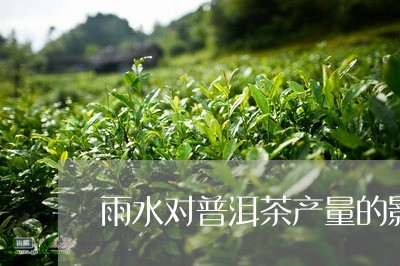 雨水对普洱茶产量的影响/2023122029392
