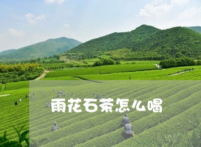 雨花石茶怎么喝/2023042919231