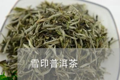 雪印普洱茶/2023090657250