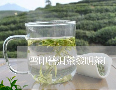 雪印普洱茶黎明茶厂/2023121895249