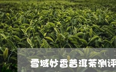 雪域妙香普洱茶测评/2023120528360