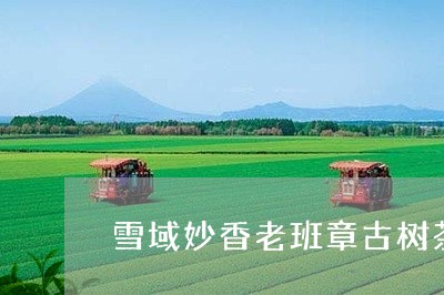 雪域妙香老班章古树茶怎么样/2023052764948