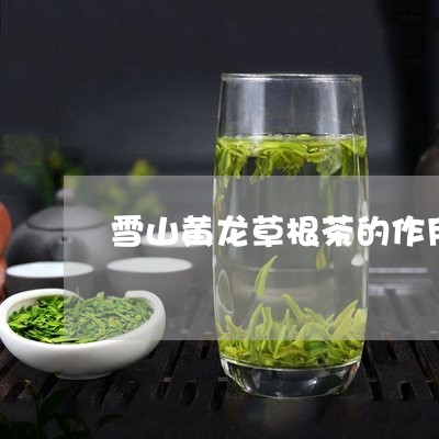 雪山黄龙草根茶的作用/2023092082747