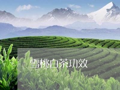 雪桃白茶功效/2023052524826