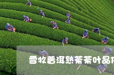 雪牧普洱熟茶茶叶晶体/2023061338382