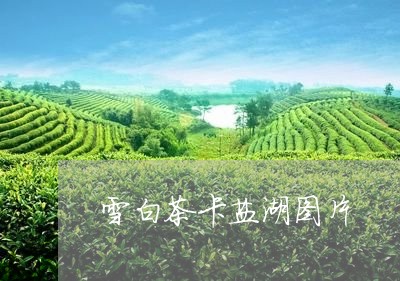 雪白茶卡盐湖图片/2023071181514