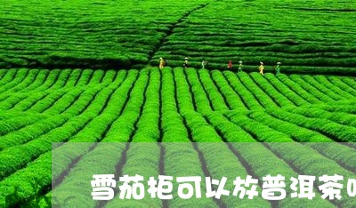 雪茄柜可以放普洱茶吗/2023093070583