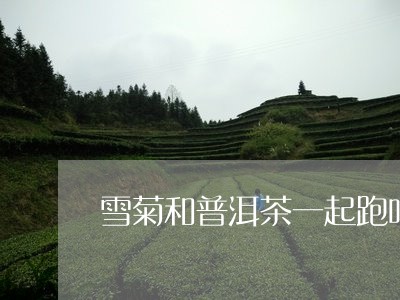 雪菊和普洱茶一起跑吗/2023061432725