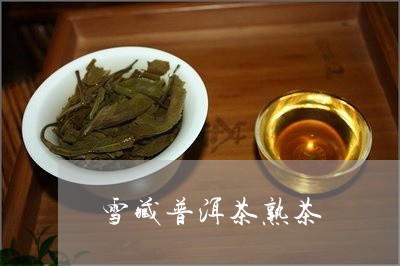 雪藏普洱茶熟茶/2023101683726