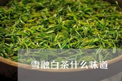 雪融白茶什么味道/2023071103949