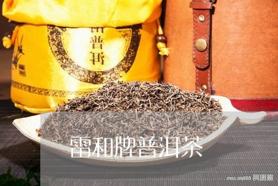 雷和牌普洱茶/2023042667132